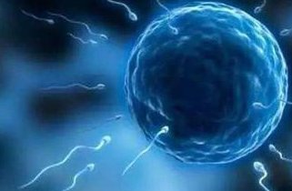 成都试管费用报销政策文件一览，未来辅助生殖入医保可报