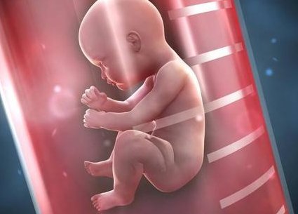 桂林181试管要证件吗？成功率又是多少呢？