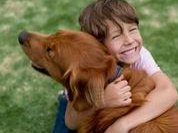 泉州试管婴儿医院成功率排名？哪里做试管婴儿成功率比较高？