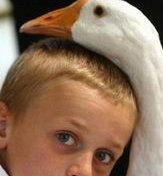 元旦期间可以做试管吗？