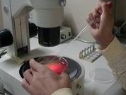 做了结扎手术可以在祁阳市试管医院做试管婴儿吗？费用是多少