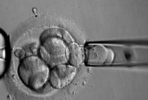 安徽试管婴儿费用大概要多少钱？