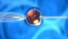 泰国试管婴儿胚胎很好，为什么移植后会胎停？