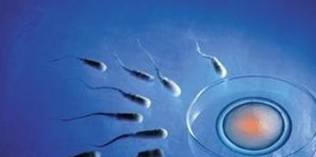 试管采卵后出血是什么情况？如何处理这个情况？