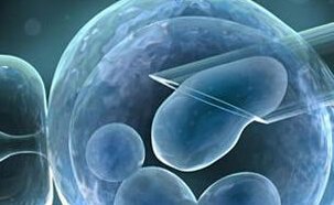 50岁做试管的成功率有多大？试管成功率的影响因素及提升方法！