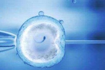 2026广东试管费用多少广东做试管好处多多